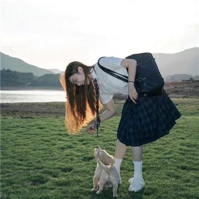 橄榄树之恋
